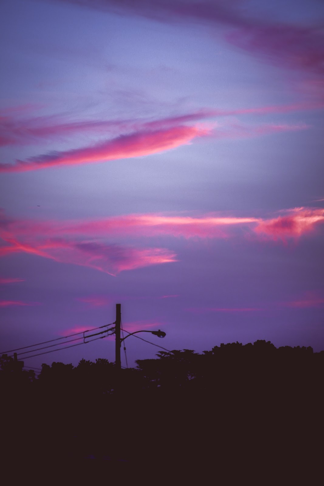 Nature photography — Underwater Photography Gear Guide Housings, Cameras, Lights & More