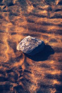 Best Photo Editing Software for Nature Photographers (2026)