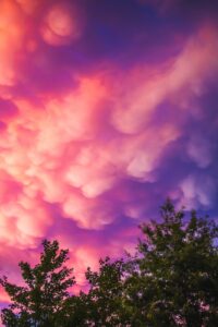 How to Edit Wildlife Photos in Lightroom: Step-by-Step Guide (2026)