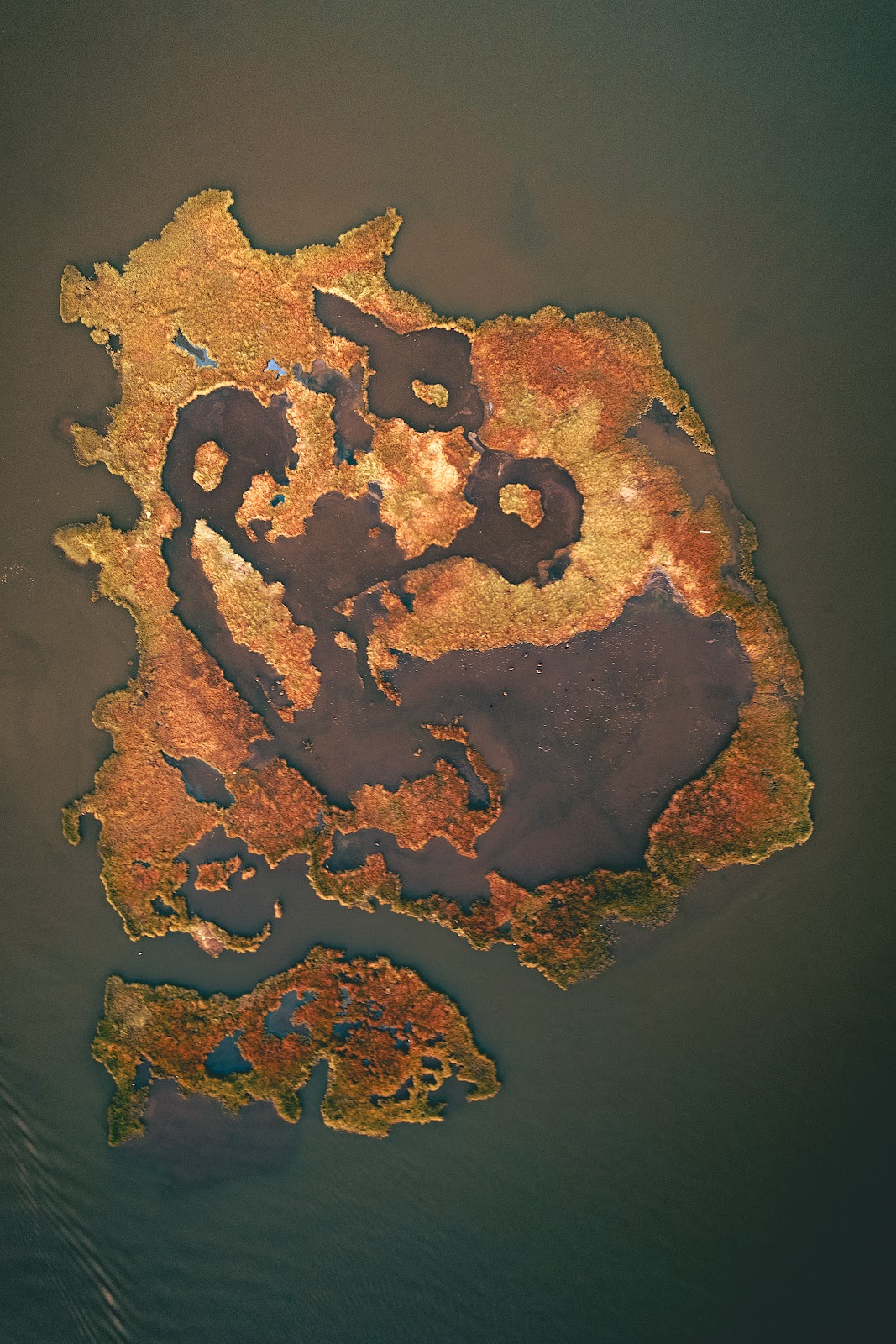 Nature photography — How to Photograph in Fog Camera Settings and Techniques for Misty Landscapes