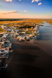 Best Camera Settings for Macro Photography: How to Photograph Flowers and Insects Up Close
