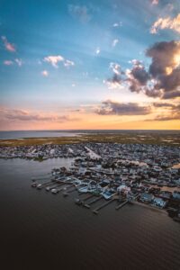 How to Photograph Birds in Flight: Camera Settings and Technique
