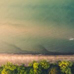 Best Bean Bags for Wildlife Photography (2026): 5 Picks for Telephoto Shooters