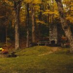 Best Camera Hides for Wildlife Photography (2026): 5 Portable Blinds for Getting Close