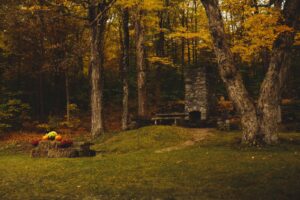 Best Camera Hides for Wildlife Photography (2026): 5 Portable Blinds for Getting Close