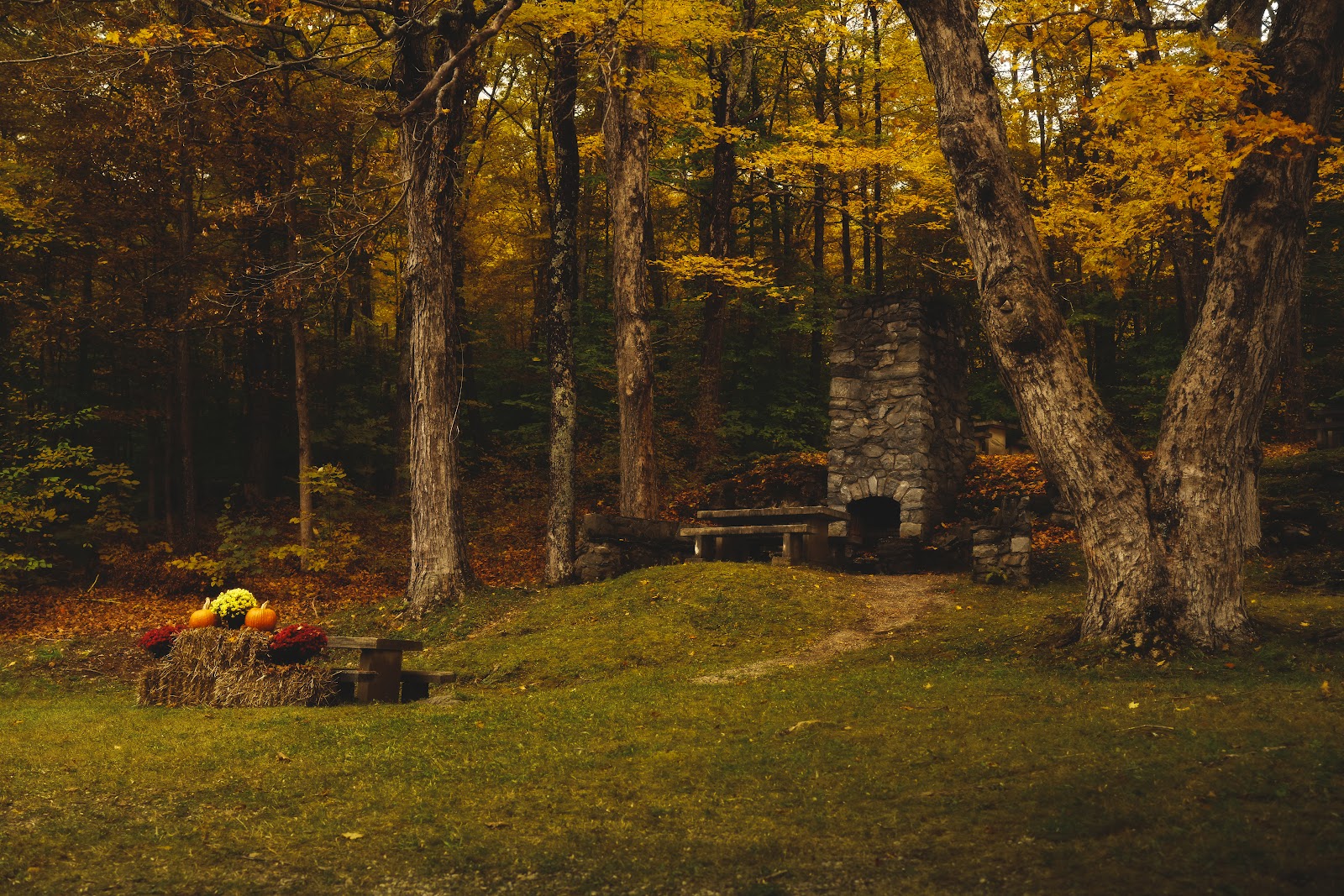 Nature photography — Best Budget Compact Camera for Landscape Photography