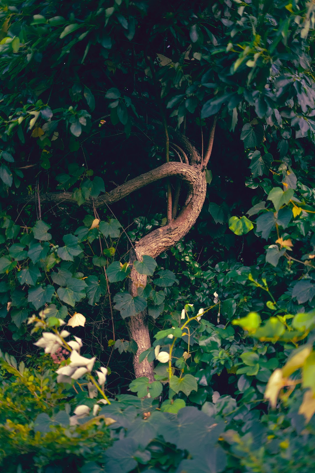 Nature photography — Best Budget Digital Camera for Landscape Photography