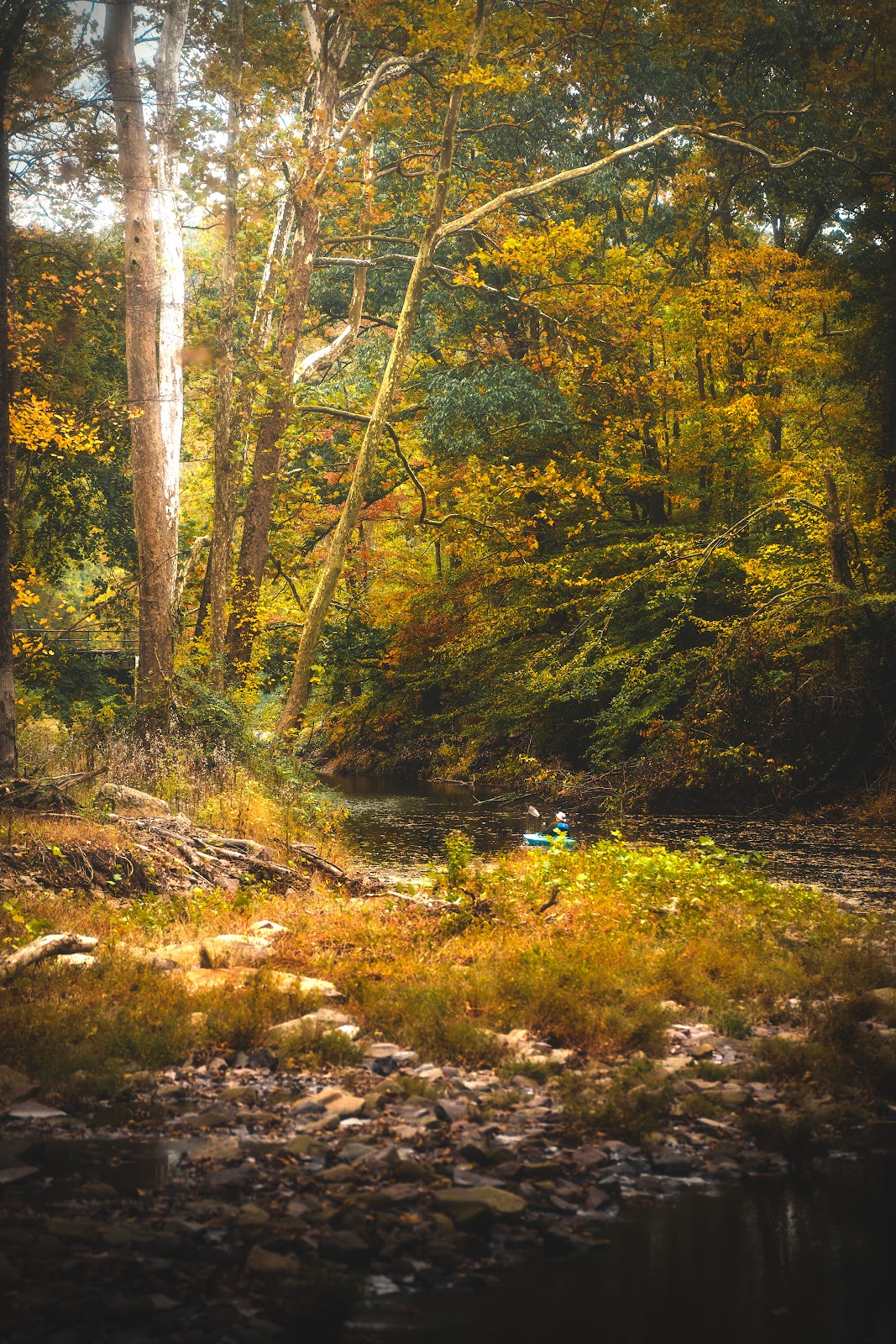 Nature photography — Best Budget DJI Drone for Photography