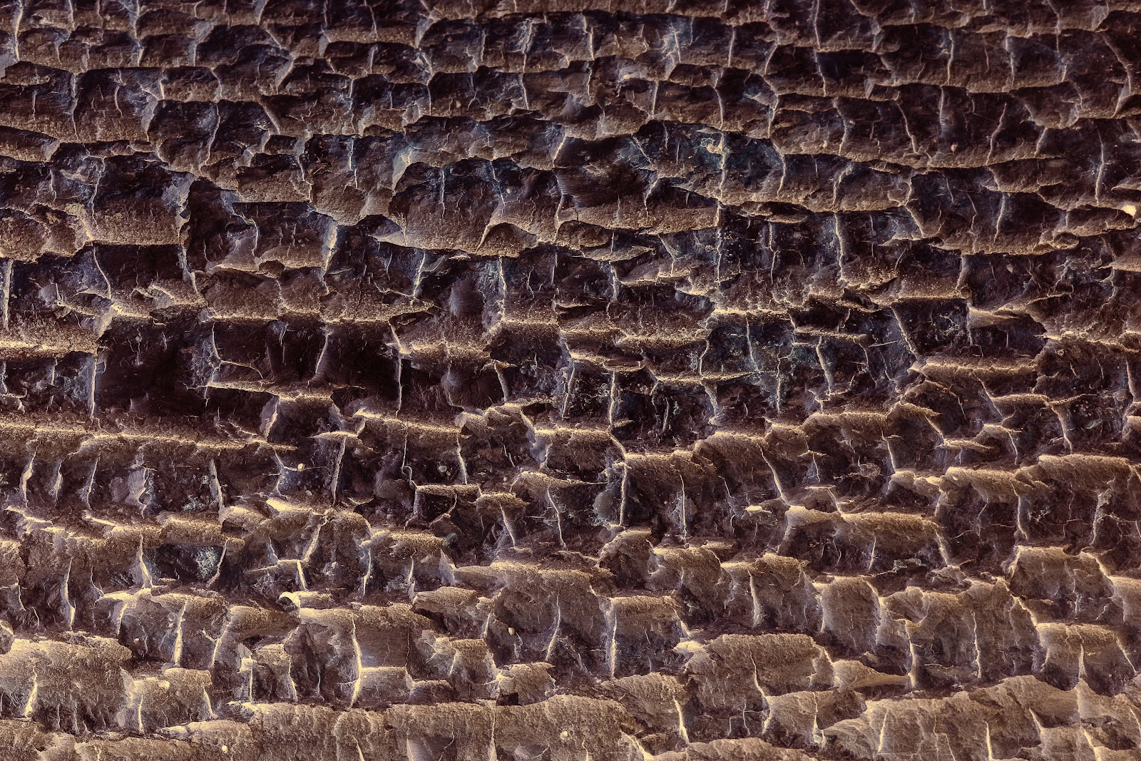 Nature photography — Best Budget Drone for Photography Reddit Recommends