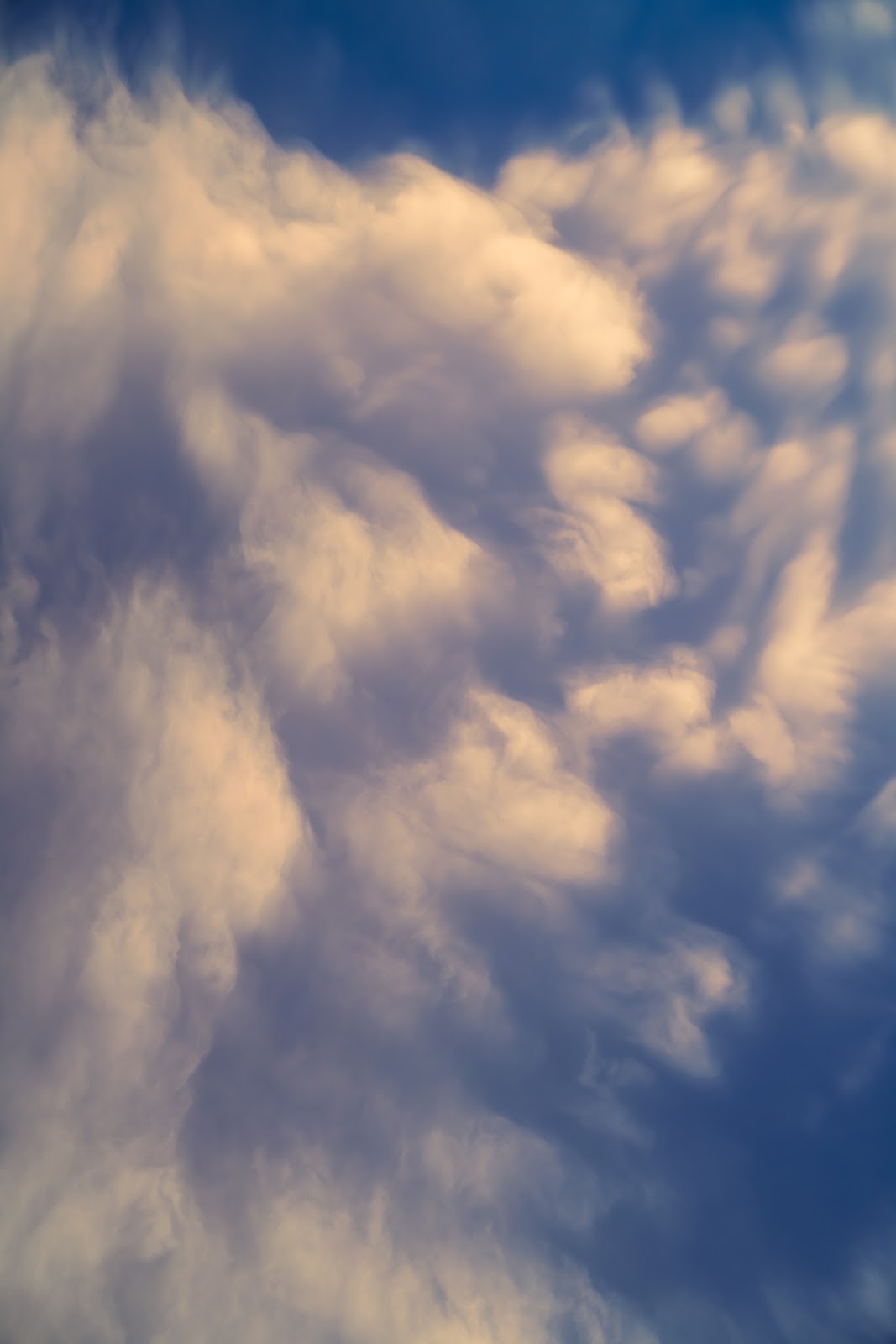 Nature photography — Best Budget Drone for Real Estate Photography