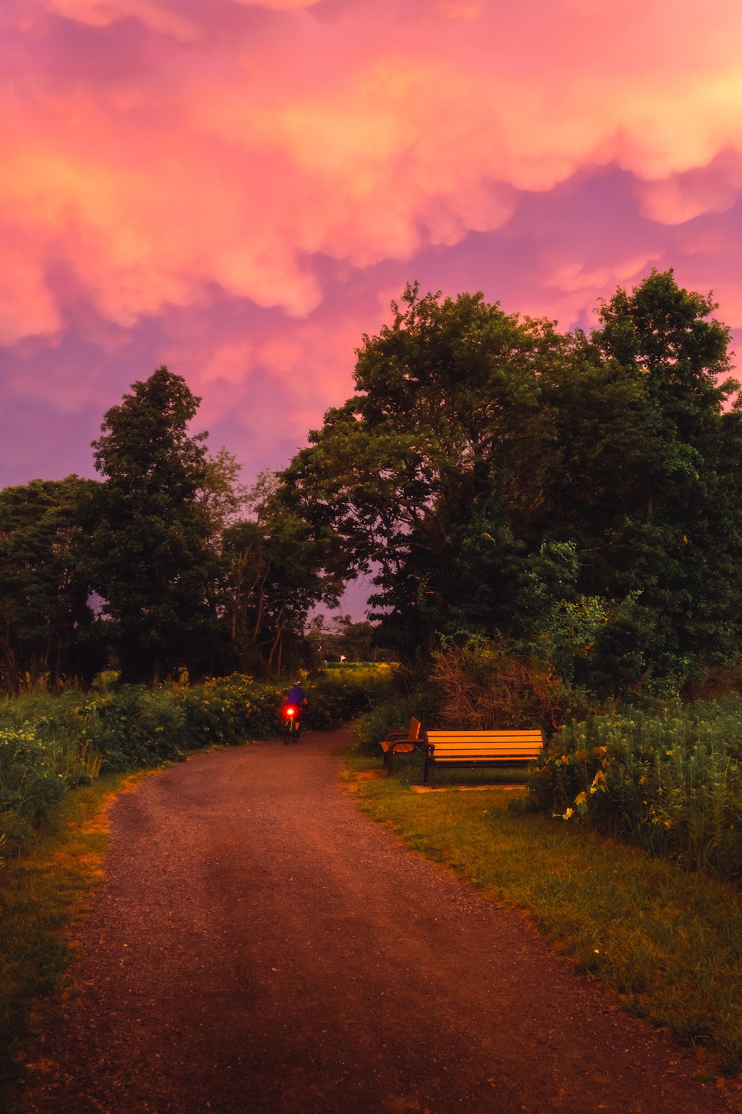 Nature photography — Best Budget Mirrorless Camera for Beginners in 2026