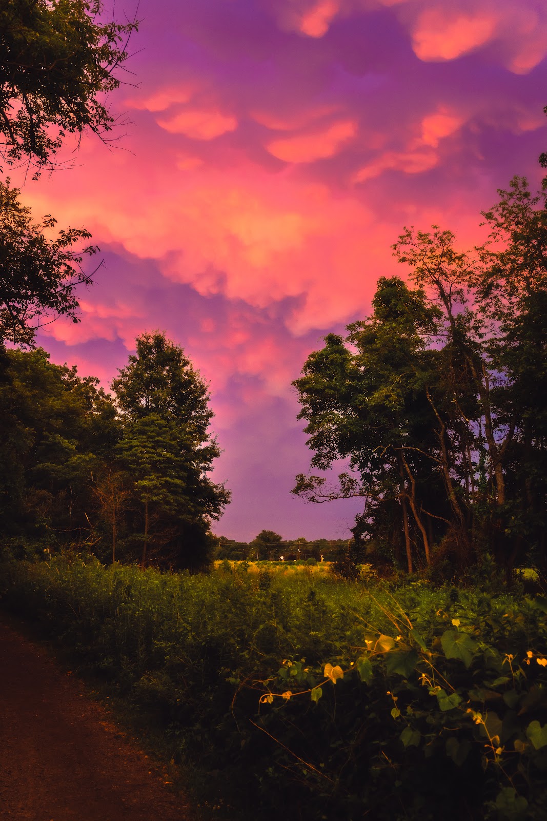 Nature photography — Best Budget Mirrorless Camera for Landscape Photography