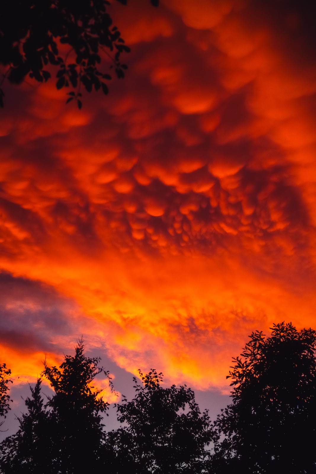 Nature photography — Best Budget Mirrorless Camera for Photography Top Picks for 2026