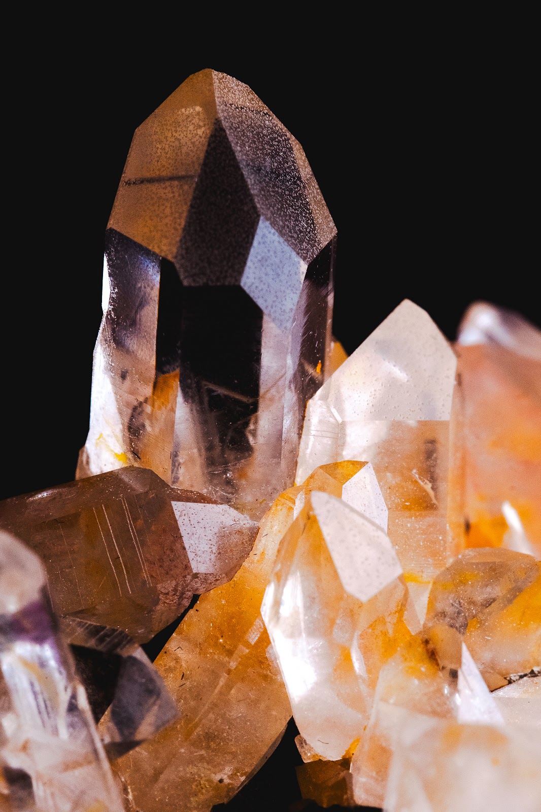 Nature photography — Best Budget Tripod for Wildlife Photography Top Picks for 2026