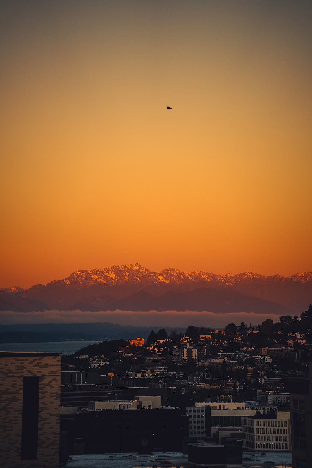 Nature photography — Best Camera Backpack for Hiking Under $100 Top Picks for 2026