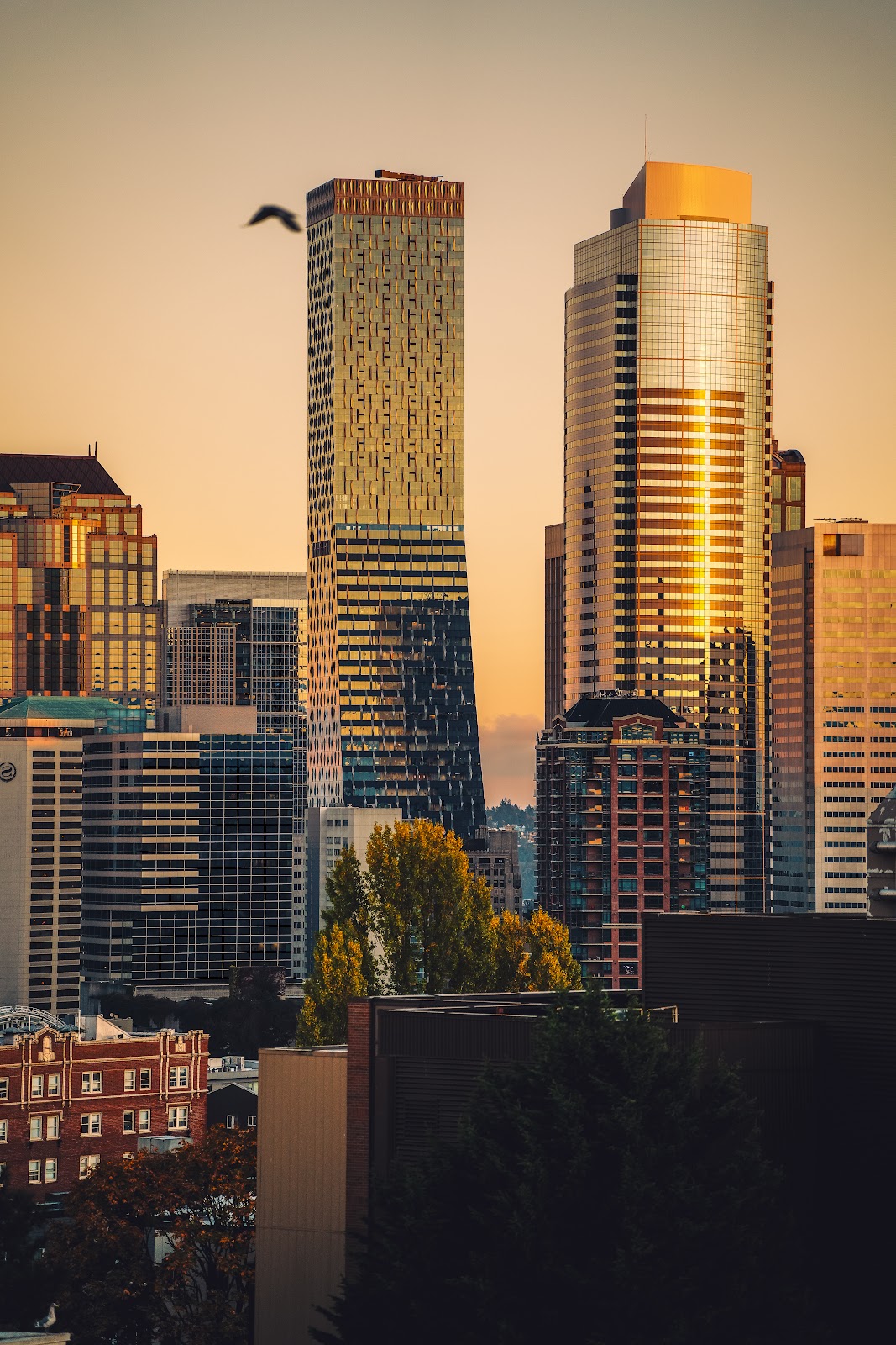 Nature photography — Best Camera Backpack for Travel and Hiking Top Picks for 2026