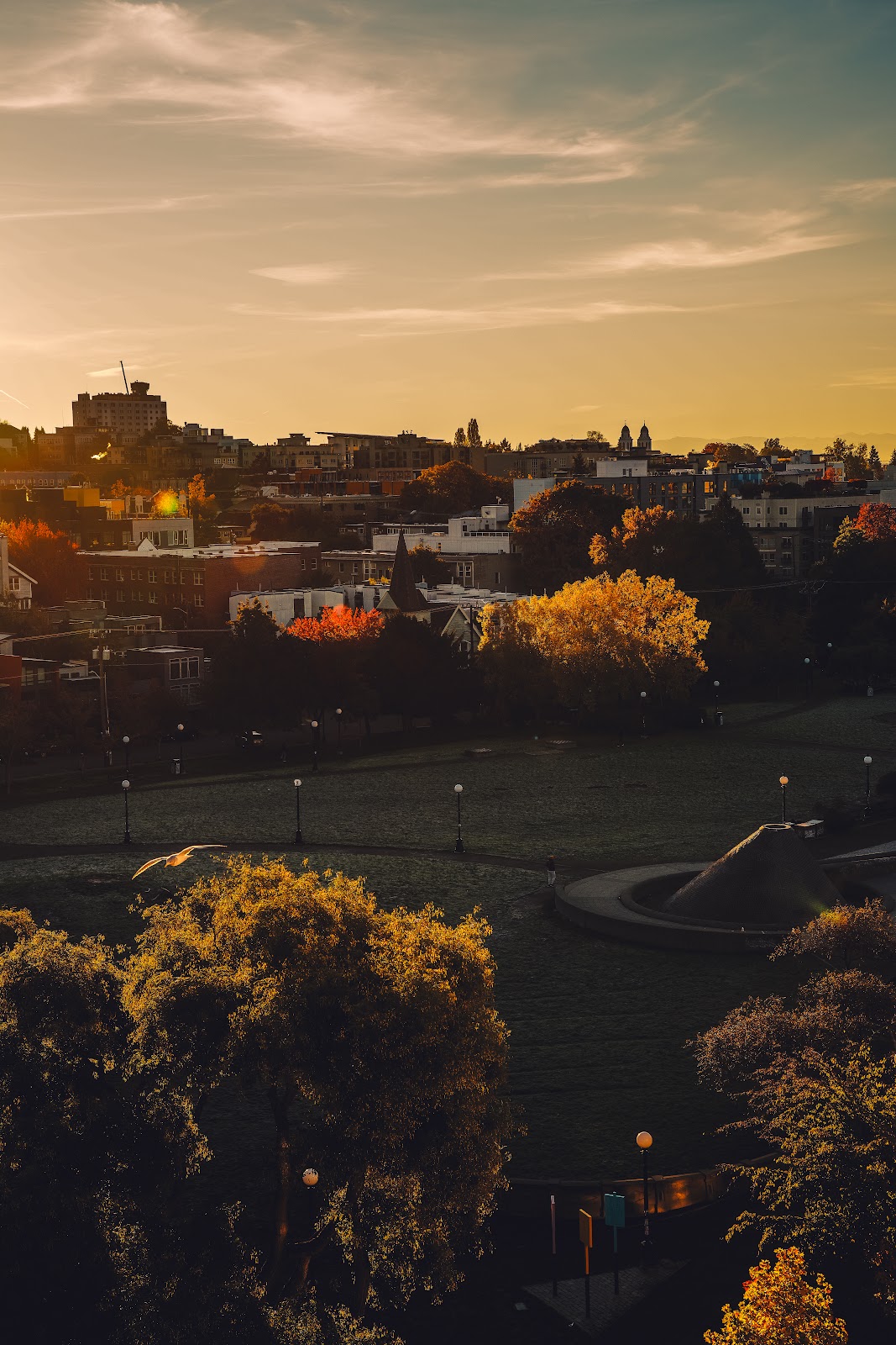 Nature photography — Best Camera for Wildlife Photography Under $500