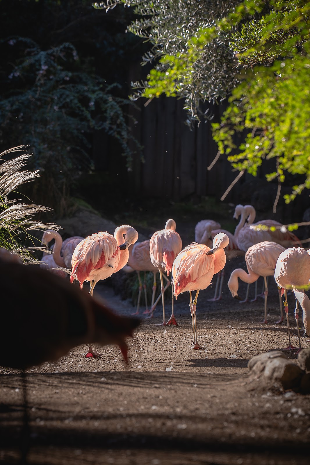 Nature photography — Best Photo Printer for Professional Photographers