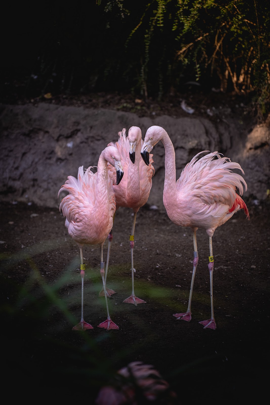 Nature photography — Best Portable Photo Printer for Photographers