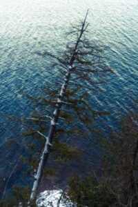Best Polarizing Filters for Nature Photography (2026): 6 CPL Filters Compared