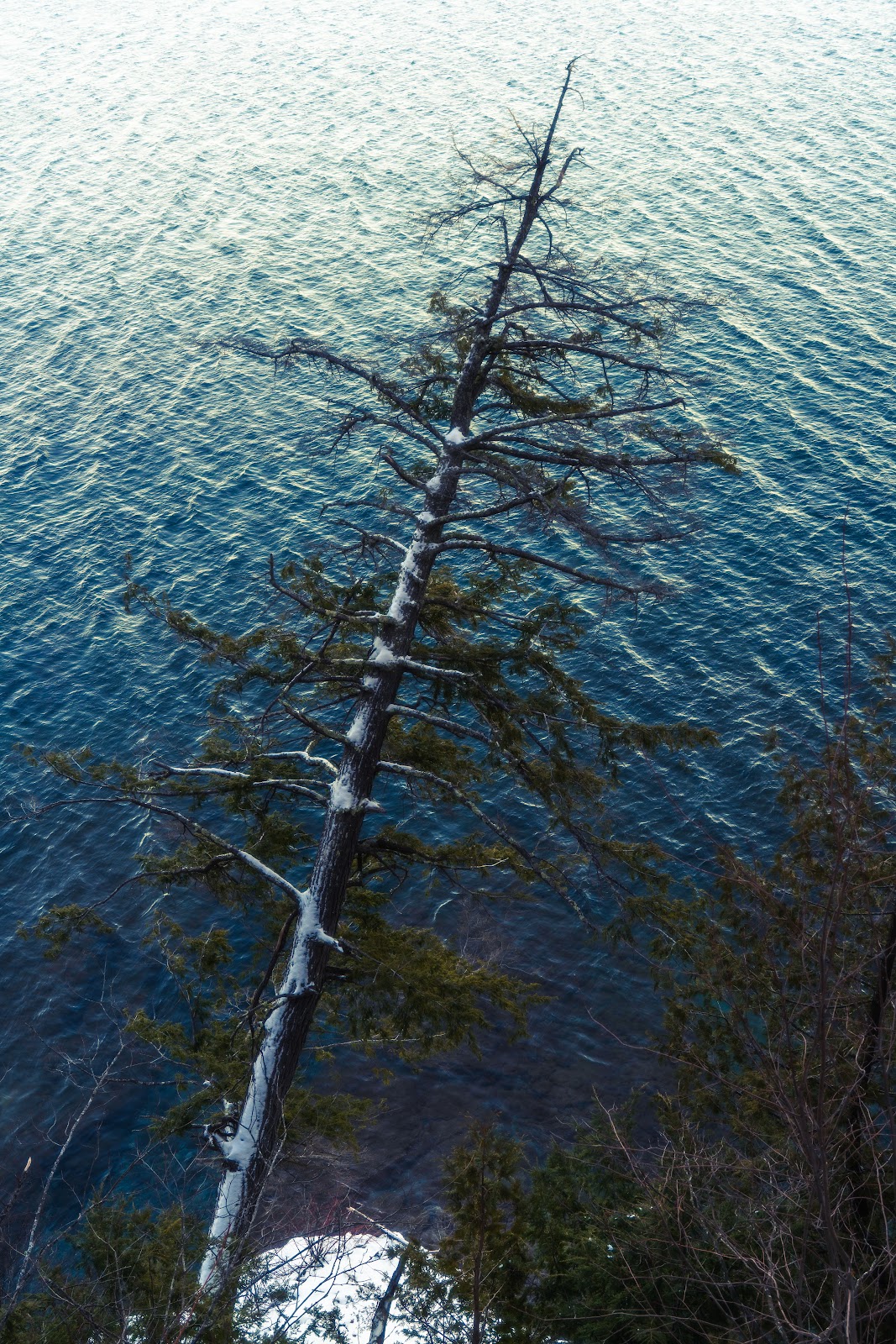 Nature photography — Easter Weekend Photography Guide Best Outdoor Gear