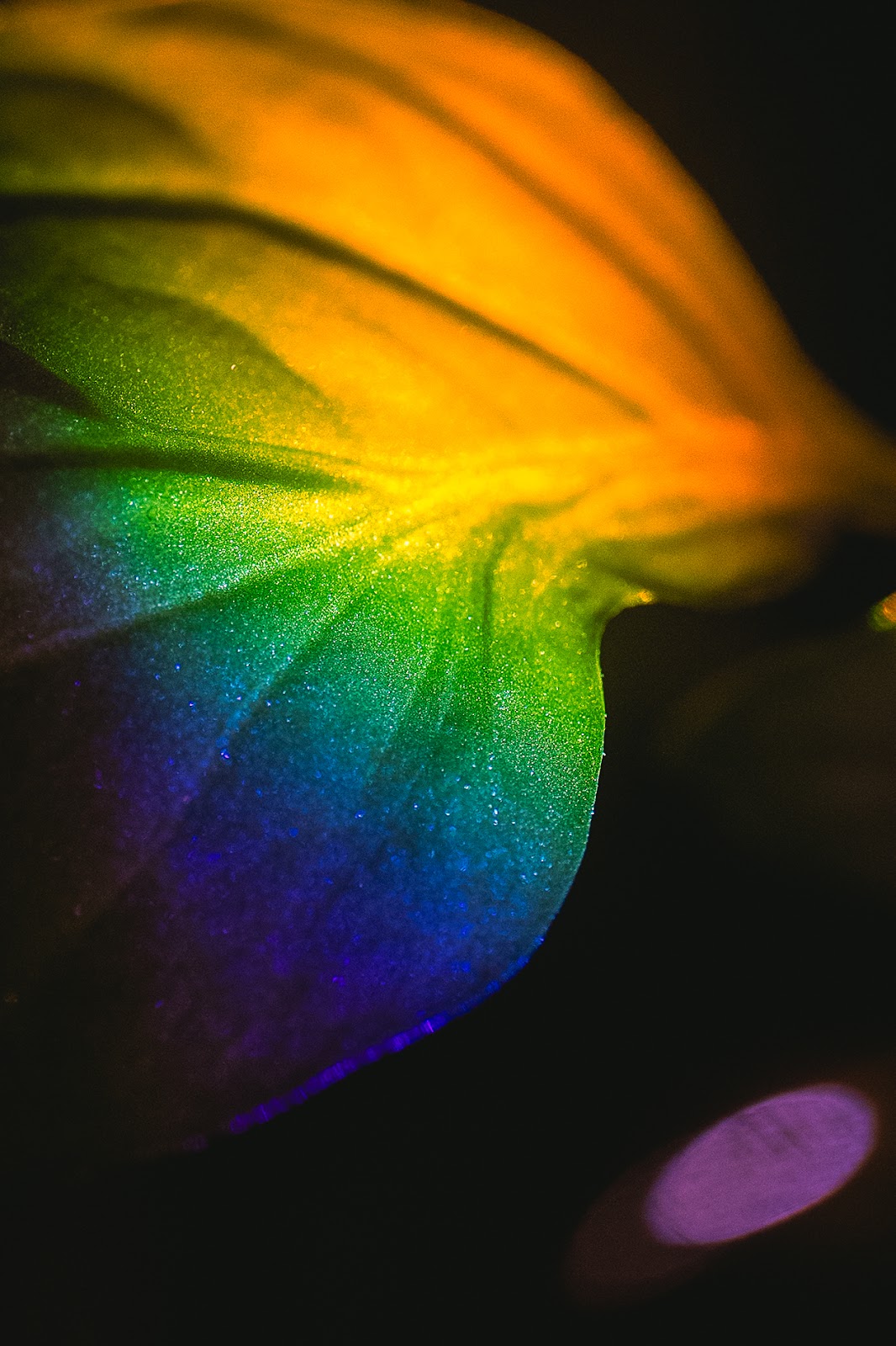 Nature photography — Spring Landscape Photography Gear Guide What to Bring and Why