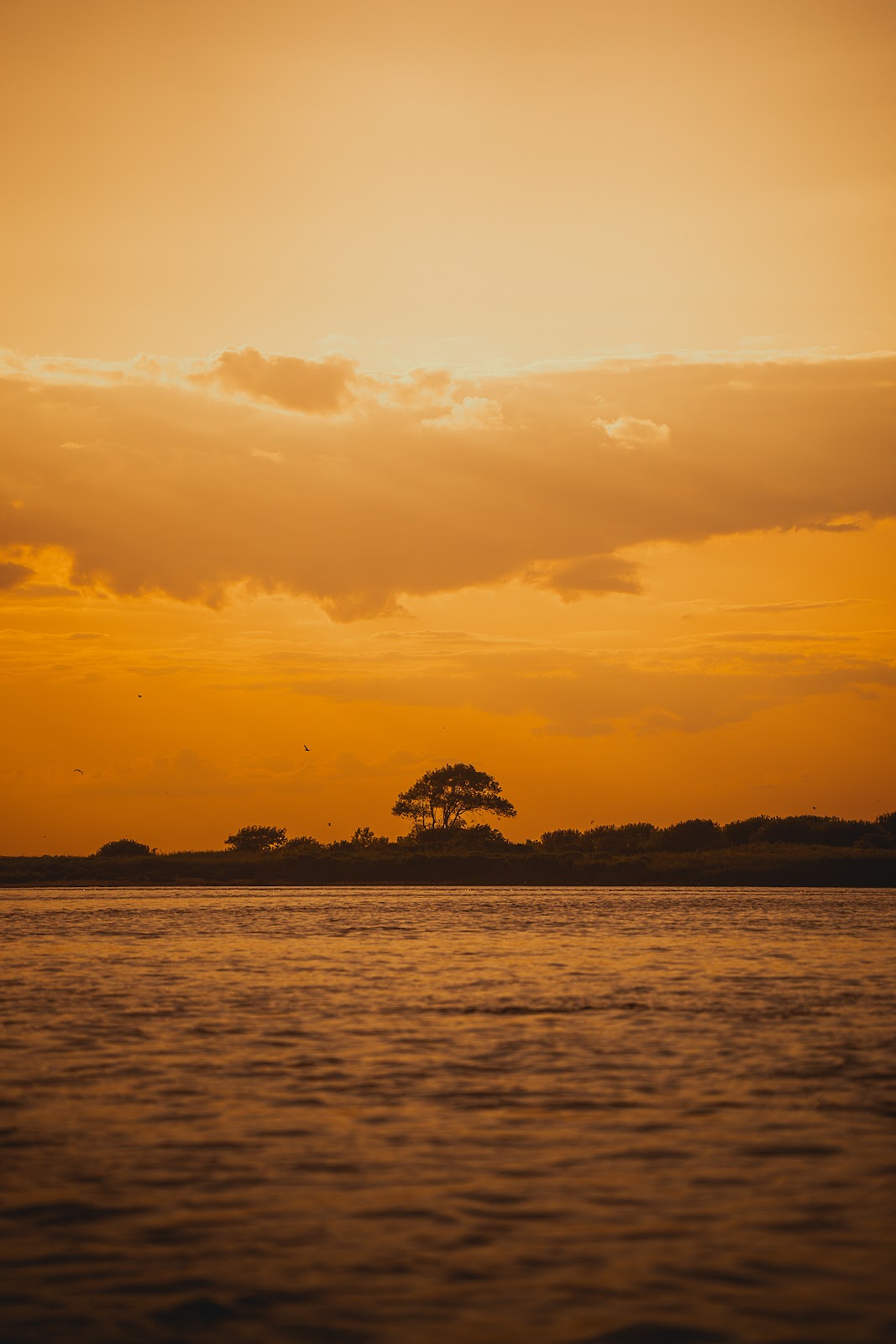 Nature photography — When to Use a Polarizing Filter (and When NOT To) Complete Guide