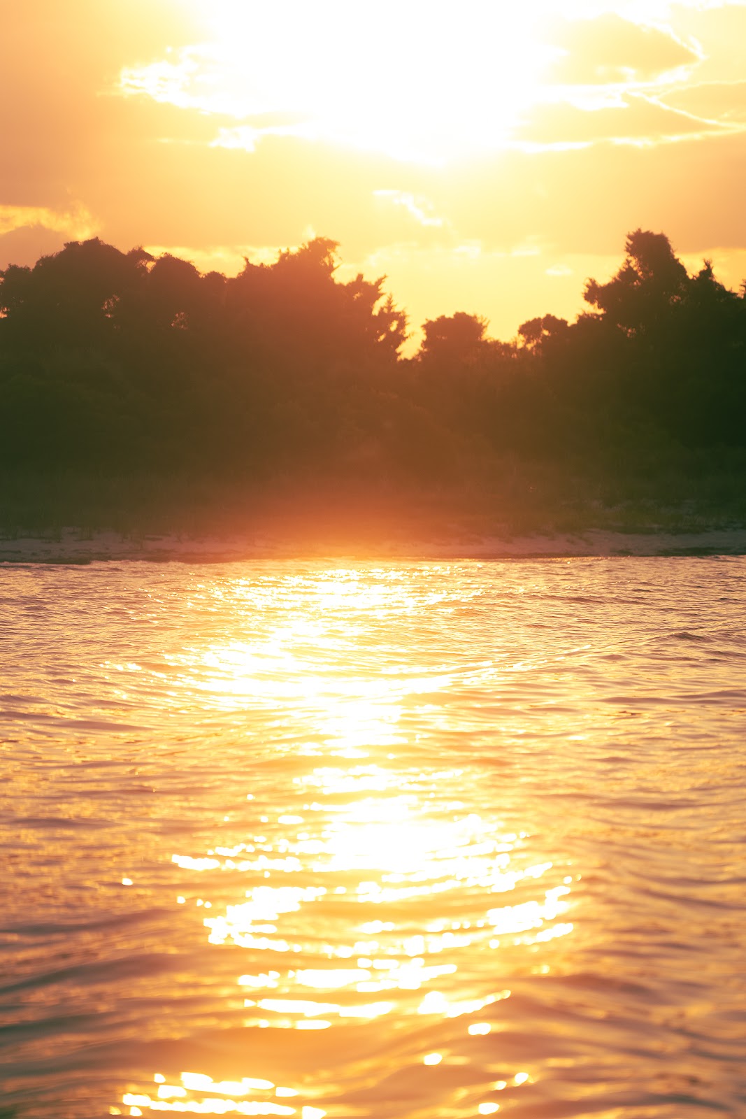 Nature photography — Best Remote Shutter Releases for Photography Wired, Wireless & Intervalometers