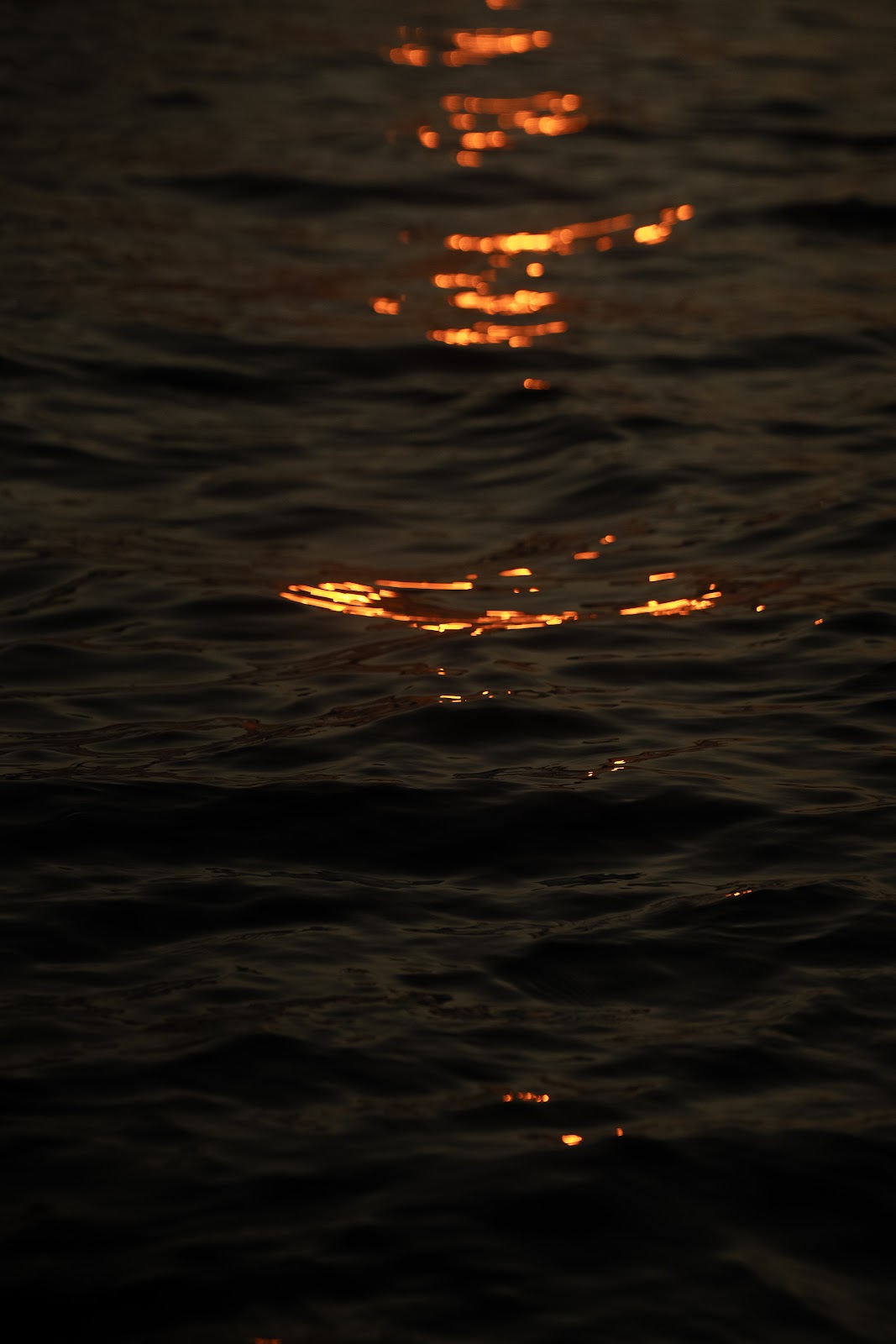 Nature photography — Best Camera Rain Covers & Wet Weather Photography Gear