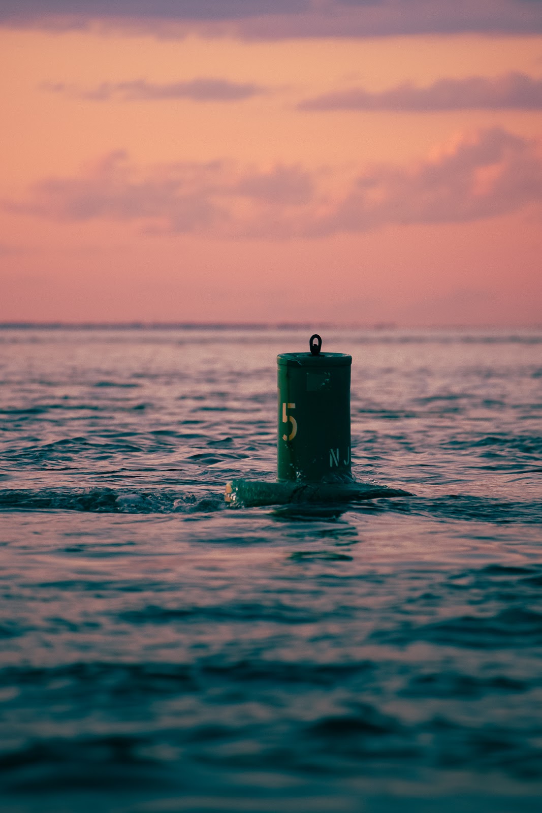 Nature photography — Macro Photography Gear Guide From First Lens to Full System