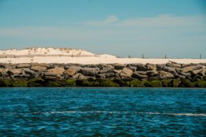 Best Cameras for Milky Way Photography (2026): Full-Frame Stars