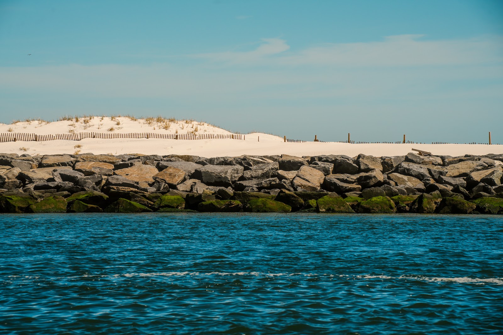 Nature photography — Best Cameras for Milky Way Photography Full-Frame Stars