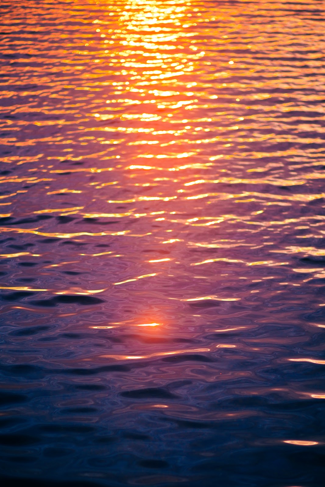 Nature photography — RAW vs JPEG for Nature Photography Which Should You Shoot?