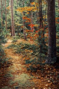 Best Photo Printers for Photographers in 2026: Complete Reviews