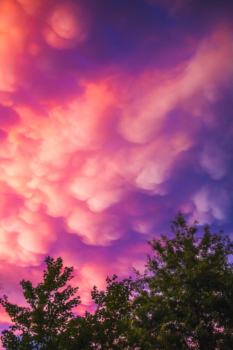 Pink Mammatus Clouds Sunset - Fine Art Photography Print by Zeefeldt Photography